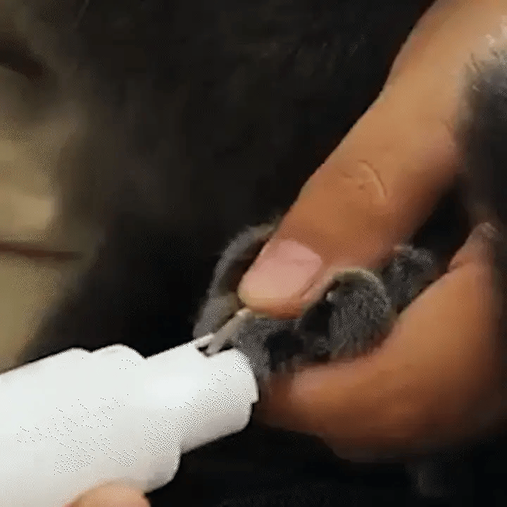 PawTrim™ - Corta Uñas 3 en 1 Mascotas